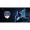 badge image